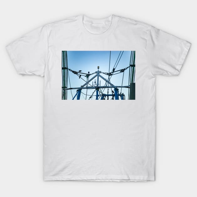 Boat on a Boat-tailed Grackle T-Shirt by KensLensDesigns